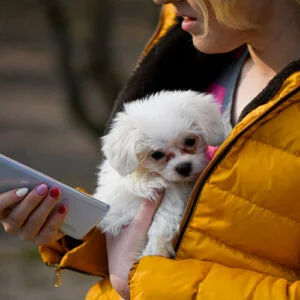 woman and puppy with mobile phone image pixabay